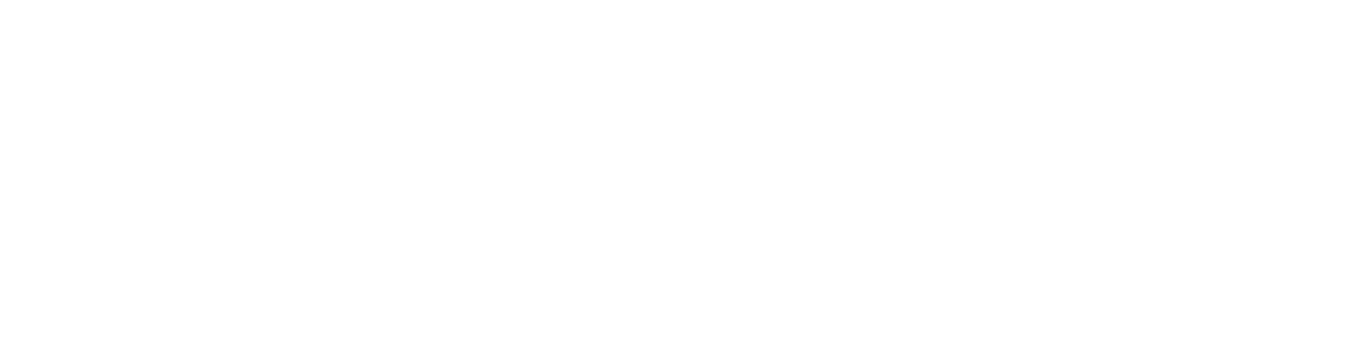 Tricia Turner Group